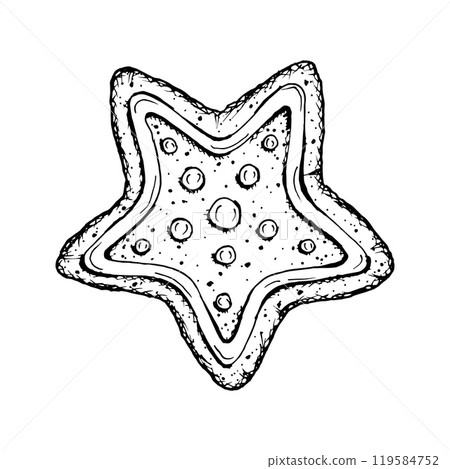 Merry Christmas treat, gingerbread star with icing. New Year vector illustration hand drawn with ink. Symbol of winter mood. New Year sweetness for bakery packaging, printing, gifts and handicrafts. Merry Christmas treat, gingerbread star with icing. New Year vector illustration hand drawn with ink. Symbol of winter mood. New Year sweetness for bakery packaging, printing, gifts and handicrafts. 119584752