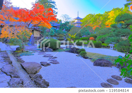 充滿活力的秋葉和輪王寺岩石花園 充滿活力的秋葉和輪王寺岩石花園 119584814