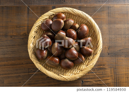 生栗子 生栗子 119584930