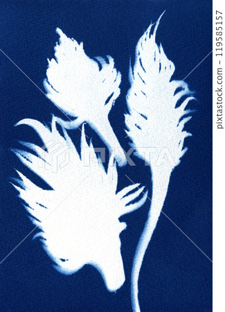 Botanical motifs. Illustration of plants and flowers. Unique cyanotype. Botanical motifs. Illustration of plants and flowers. Unique cyanotype. 119585157