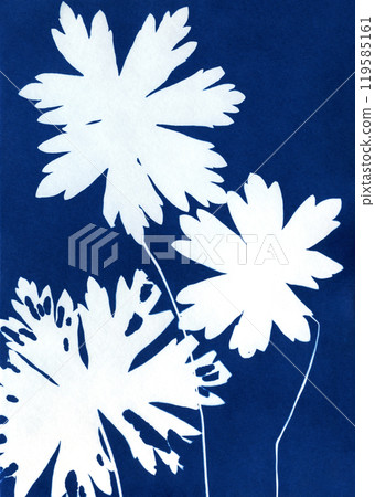 Silhouettes of plants. Unique hand-printed monotypes in Prussian blue. Cyanotypes, a kind of antique photography with freshly cut or dried flowers. Flower unique print. A Sun Print. 119585161