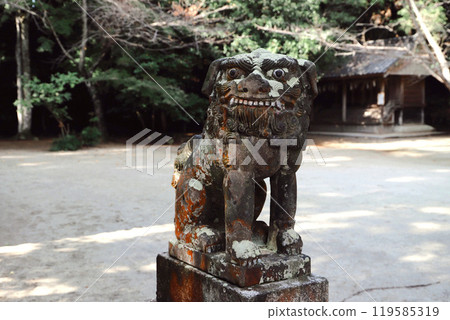 Itoshima City, Fukuoka Prefecture: Guardian lion of Sakurai Shrine 119585319