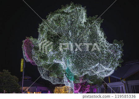 The shining illuminated trees at Hamamatsu Fruit Park Tokinosumika (Shizuoka Prefecture) The shining illuminated trees at Hamamatsu Fruit Park Tokinosumika (Shizuoka Prefecture) 119585336