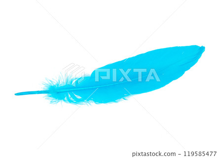 Decorative blue bird feather isolated on the white background Decorative blue bird feather isolated on the white background 119585477