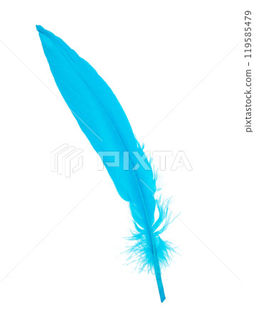 Decorative blue bird feather isolated on the white background Decorative blue bird feather isolated on the white background 119585479