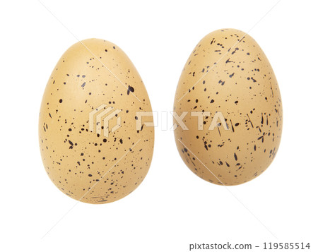 Chicken egg in dots for easter isolated on the white background 119585514