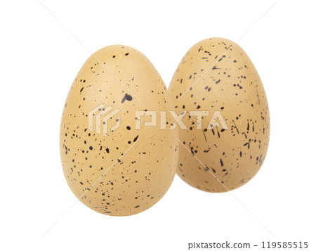 Chicken egg in dots for easter isolated on the white background Chicken egg in dots for easter isolated on the white background 119585515