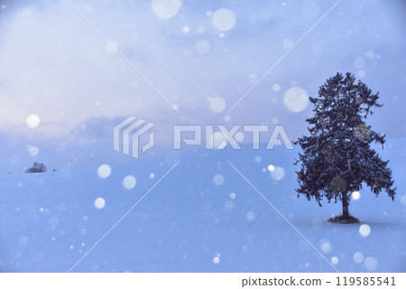 美瑛山降雪 美瑛山降雪 119585541
