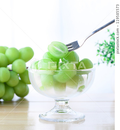 在窗戶附近閃耀馬斯喀特（剪切圖像） 119585573