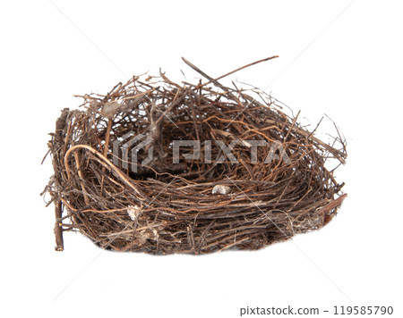 Bird wooden nest isolated on the white background Bird wooden nest isolated on the white background 119585790