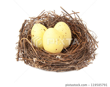 Colorful three eggs in wooden bird nest isolated on the white background 119585791