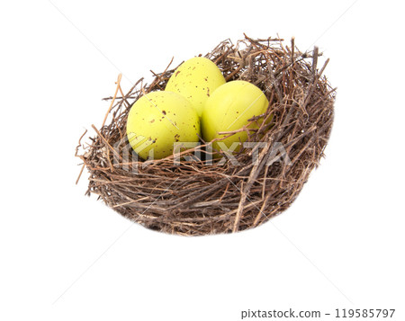 Colorful eggs in wooden bird nest isolated on the white background 119585797