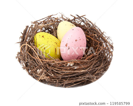 Colorful eggs in wooden bird nest isolated on the white background Colorful eggs in wooden bird nest isolated on the white background 119585799