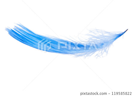 Elegant blue feather isolated on the white background 119585822
