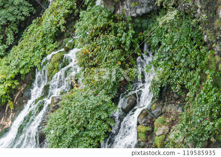 [Shirahige Falls, Biei Town] 119585935