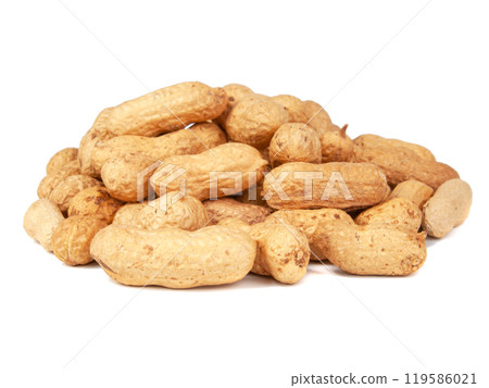 Group of peanuts dry isolated on the white background 119586021