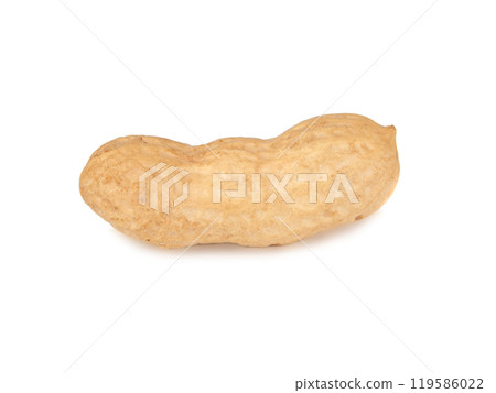One peanut dry isolated on the white background 119586022