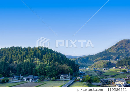 鮮綠的雪松山脊線和里山風景 119586251