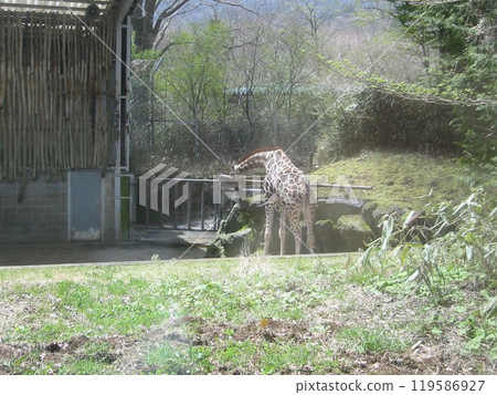 2011 靜岡野生動物園第 5 部分 2011 靜岡野生動物園第 5 部分 119586927