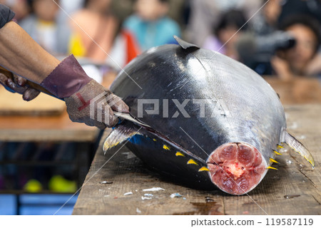 Demolition of tuna 119587119