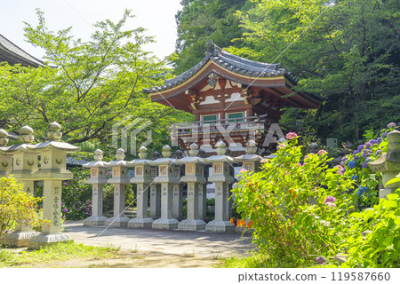 Tsubosaka Temple: Fresh greenery and Tenjikumon Gate 119587660