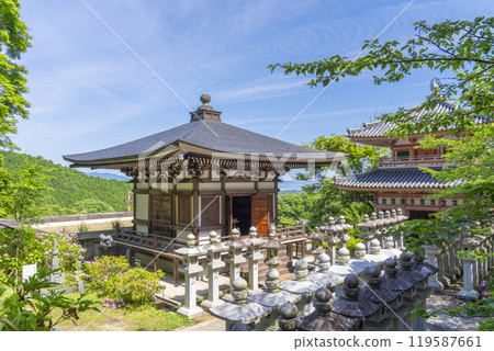 Tsubosaka Temple: Fresh greenery and the Chukodo and Jigendo Halls 119587661