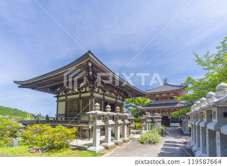 初夏的奈良、坪坂寺、中弘堂、地源堂 初夏的奈良、坪坂寺、中弘堂、地源堂 119587664