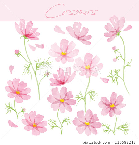 Hand-drawn watercolor illustration of cosmos 2 Hand-drawn watercolor illustration of cosmos 2 119588215