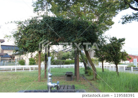A park at dusk and a water faucet (September) A park at dusk and a water faucet (September) 119588391