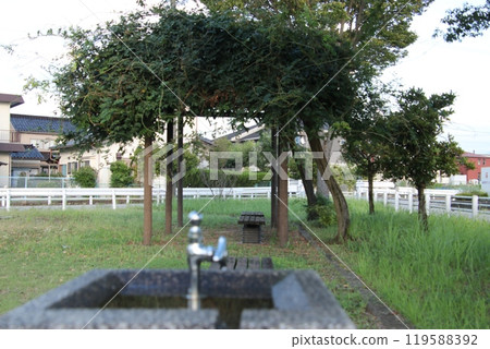 Park and faucet at dusk (September) 119588392