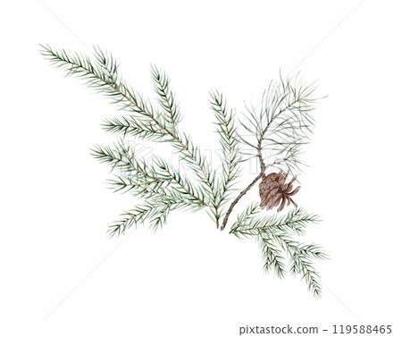 Watercolor Christmas tree branches and pine cone. Hand painted fir needle natural elements illustration on isolated. Freehand drawing of festive needles from spruce, for Christmas and new year Watercolor Christmas tree branches and pine cone. Hand painted fir needle natural elements illustration on isolated. Freehand drawing of festive needles from spruce, for Christmas and new year 119588465
