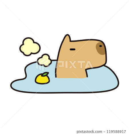 Capybara immersed in Yuzu hot water 119588917