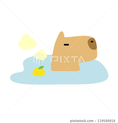 Capybara沉浸在柚子熱水中 119588918