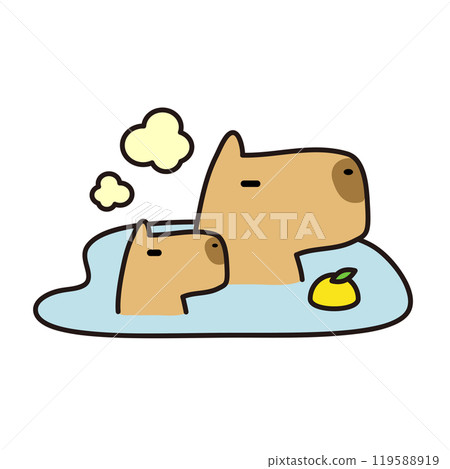 水豚一家和孩子泡在柚子浴中 119588919