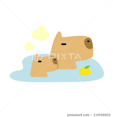 水豚一家和孩子泡在柚子浴中 119588920