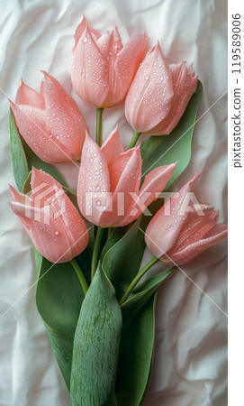 Fresh pink tulips with dew droplets arranged elegantly in a bouquet for spring decor 119589006