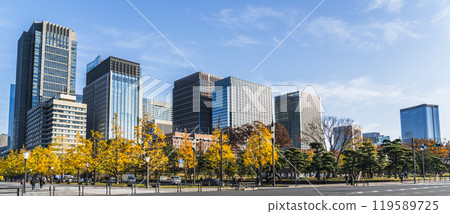 Panoramic Tokyo cityscape in autumn: Marunouchi office buildings and ginkgo tree-lined street [Chiyoda-ku, Tokyo] 119589725