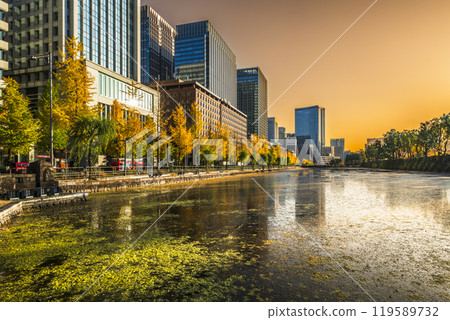 東京秋夜景，日比谷街道兩旁銀杏樹和摩天大樓[東京千代田區] 119589732