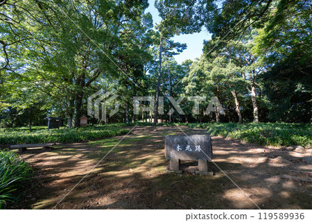 The main part of Ishigakiyama Castle 119589936