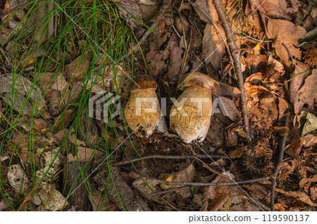 山通大手町 119590137