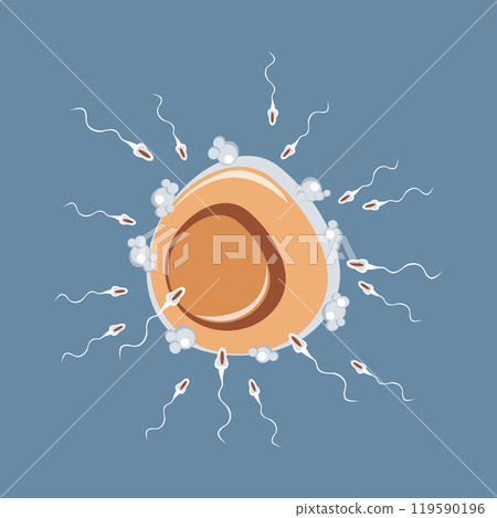 Natural insemination of oocyte. Many spermatozoa rush to egg Natural insemination of oocyte. Many spermatozoa rush to egg 119590196