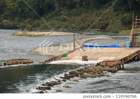 Wild Ayu Fishing - Traditional Fishing Method - Tourism in Tochigi Prefecture Wild Ayu Fishing - Traditional Fishing Method - Tourism in Tochigi Prefecture 119590766