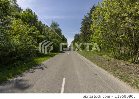 paved road in the forest in the spring season 119590903