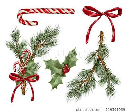 Christmas sugar cane and holly with red bow ribbon on spruce branch Watercolor composition set on white. Hand drawn illustration for New Year and winter holidays designs in realistic style. 119591069