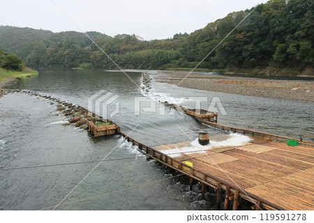 Nakagawa River Tourist Fishing Yard: Wild Ayu Fishing Yard: Traditional Ayu Fishing Method 119591278