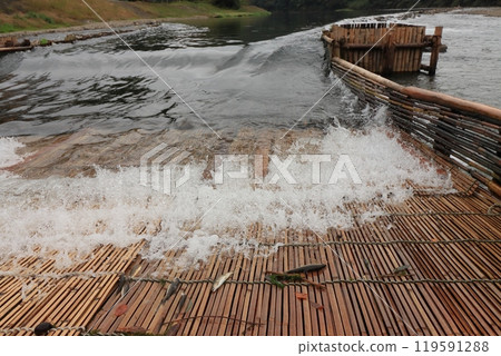 Nakagawa River Tourist Fishing Yard: Wild Ayu Fishing Yard: Traditional Ayu Fishing Method Nakagawa River Tourist Fishing Yard: Wild Ayu Fishing Yard: Traditional Ayu Fishing Method 119591288