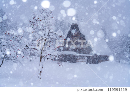 [世界遺產]白川鄉大雪[岐阜縣] 119591339