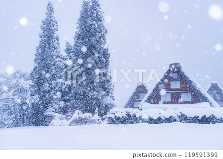 [World Heritage Site] Heavy snowfall in Shirakawa-go/Sanrensho [Gifu Prefecture] 119591391