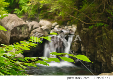 Fresh greenery, autumn leaves, and river activities - Kansai's recommended sightseeing spots Fresh greenery, autumn leaves, and river activities - Kansai's recommended sightseeing spots 119591437