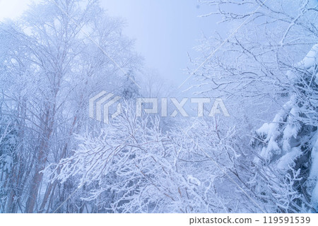 [Frost material] Frost on the Norikura Plateau [Nagano Prefecture] 119591539